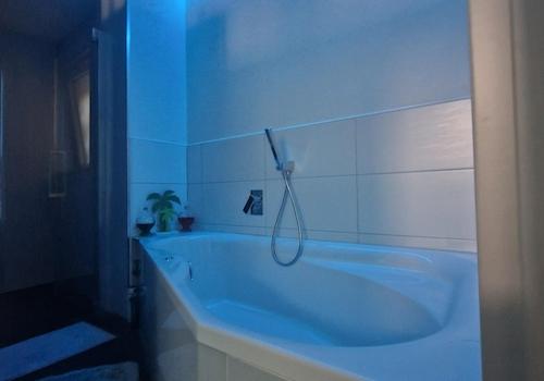 Wellness-Badezimmer 1. OG