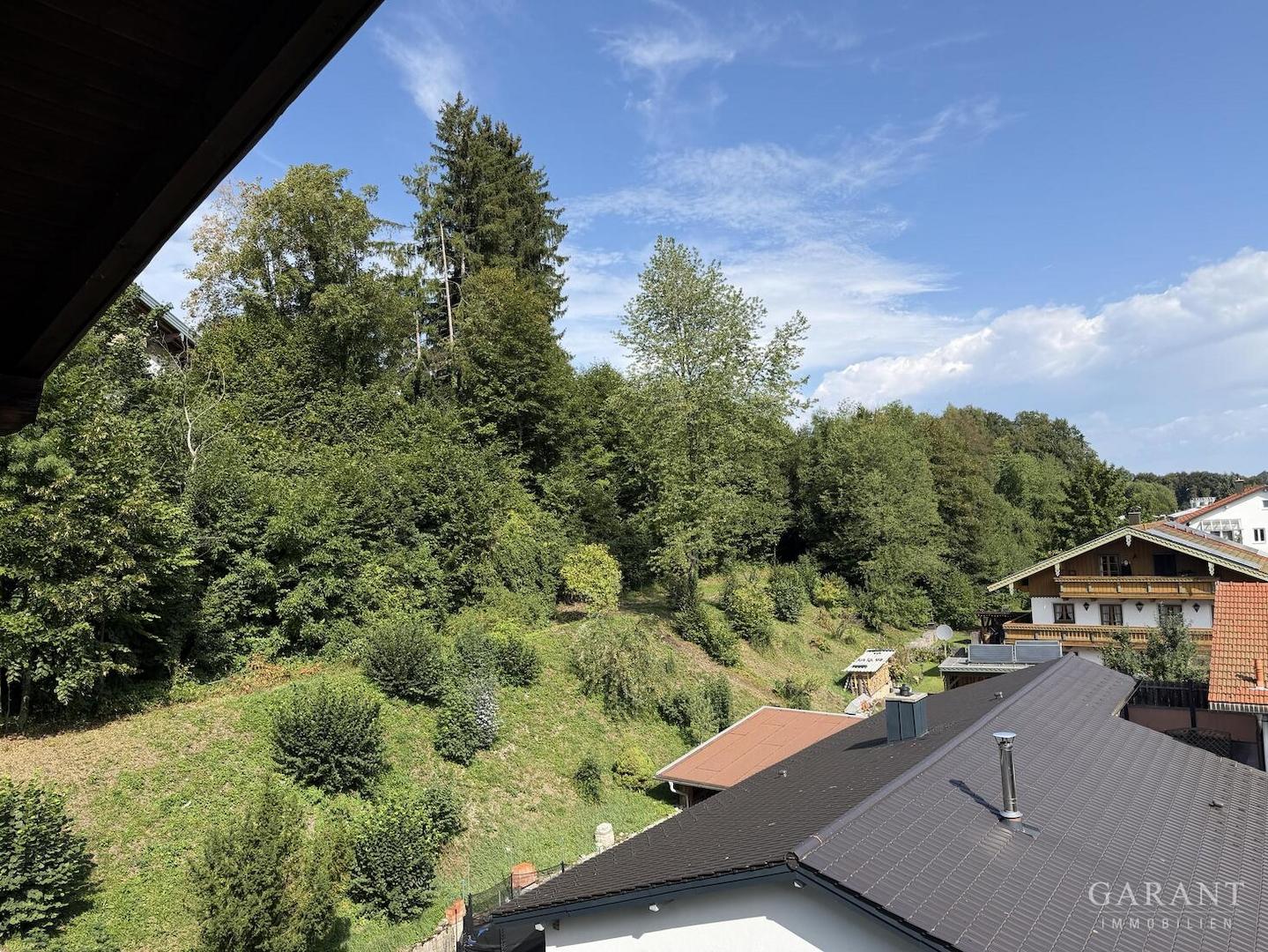 Ausblick