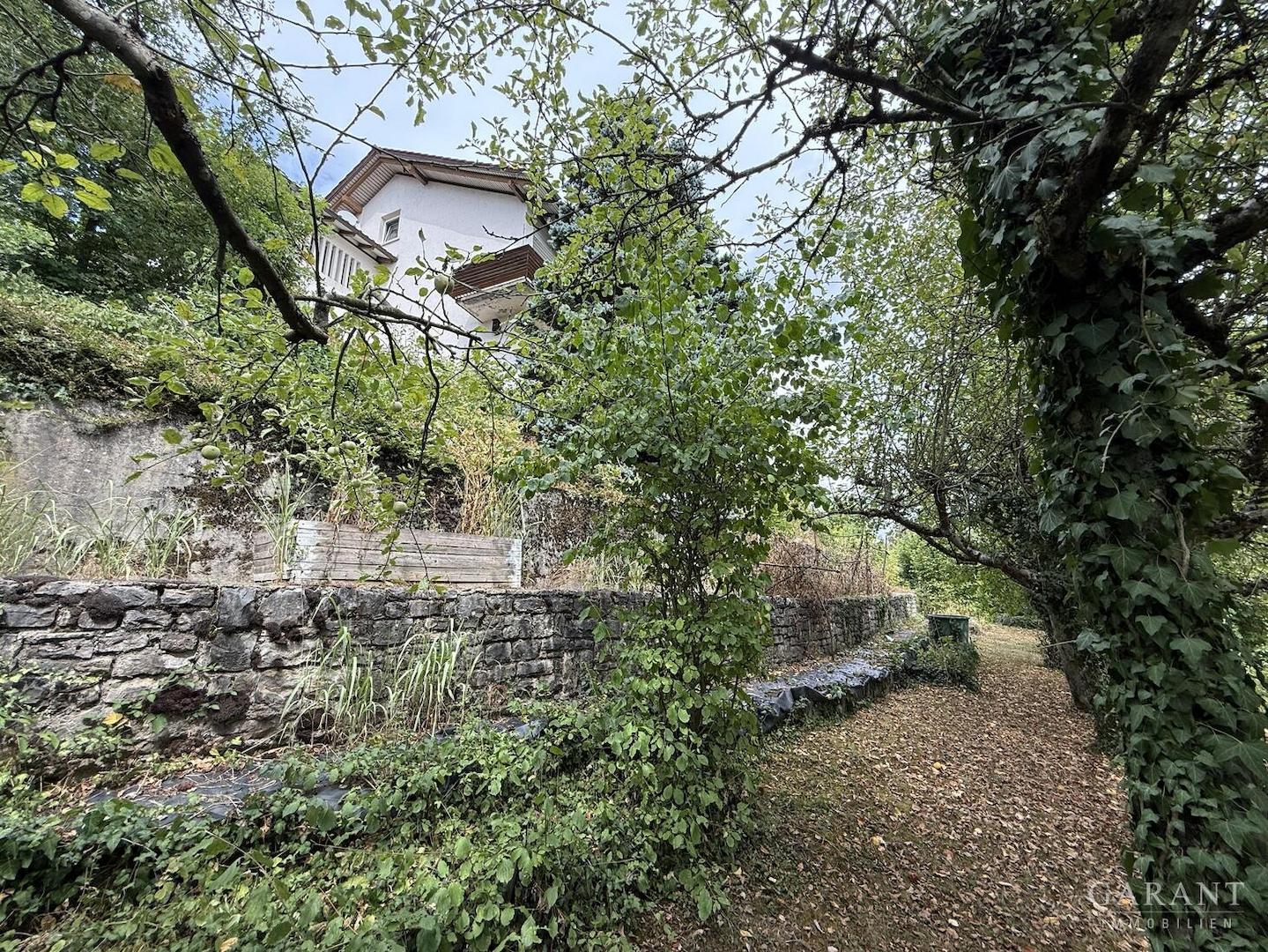 Blick vom Garten