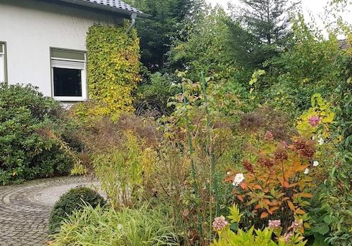 Gartenansicht rechte Seite