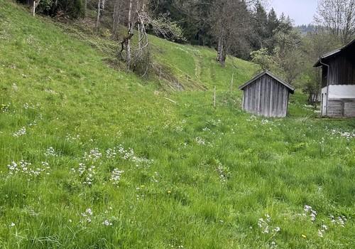 Blick auf das Grundstück 