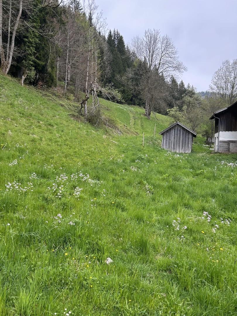 Blick auf das Grundstück 