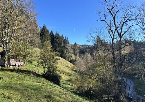 Grundstück Auszug 
