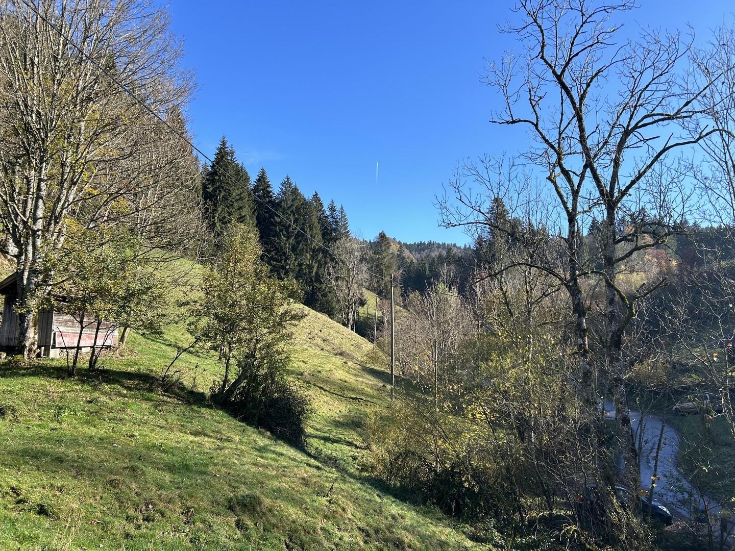 Grundstück Auszug 
