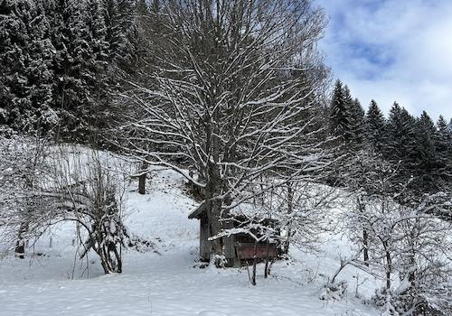 Winterimpression 