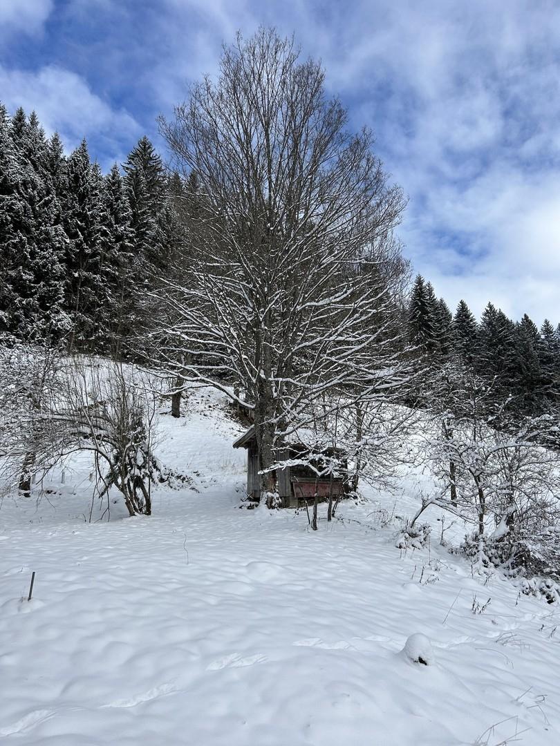 Winterimpression 