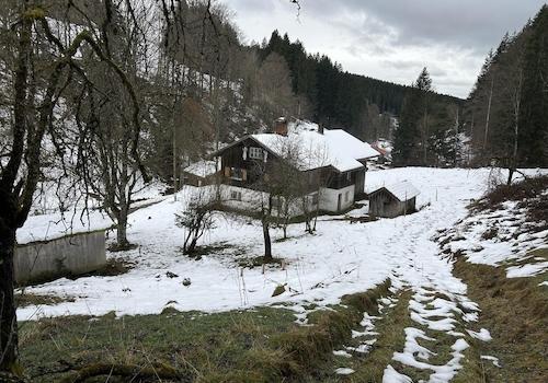 Winterimpression 