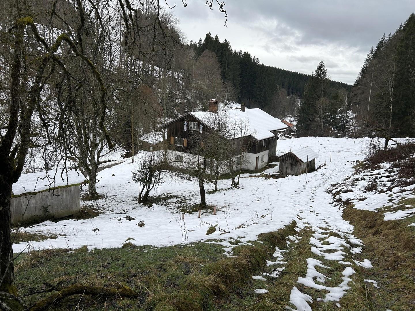 Winterimpression 