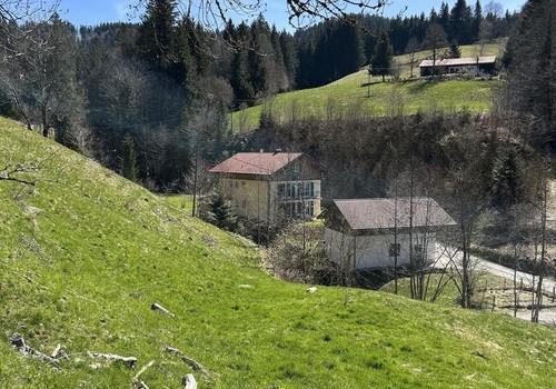 Blick Grundstück und Nachbar 