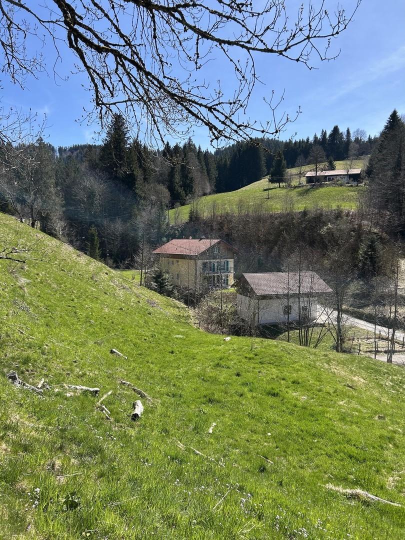 Blick Grundstück und Nachbar 