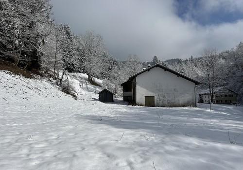 Winterimpression 