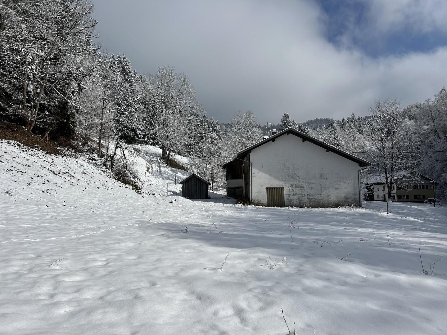 Winterimpression 