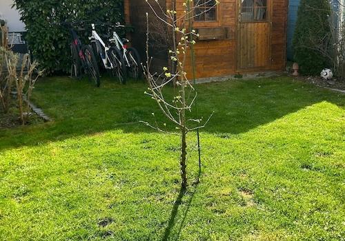 Garten