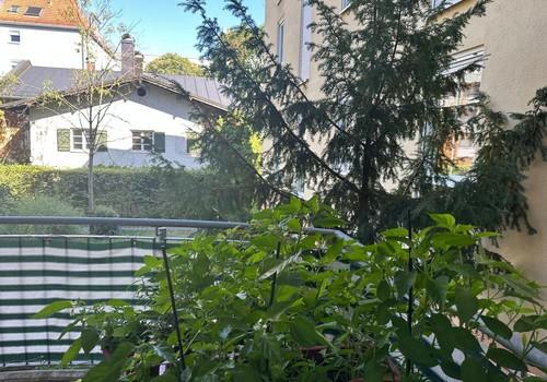 Balkon Blick frontal