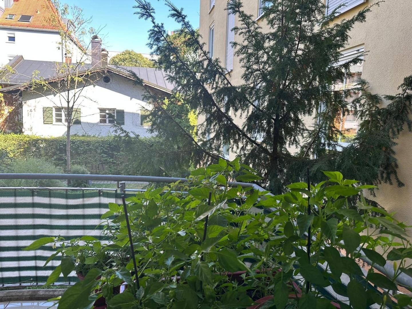 Balkon Blick frontal