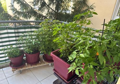 Balkon Blick nach rechts