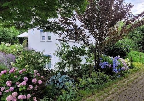 Blühender Garten