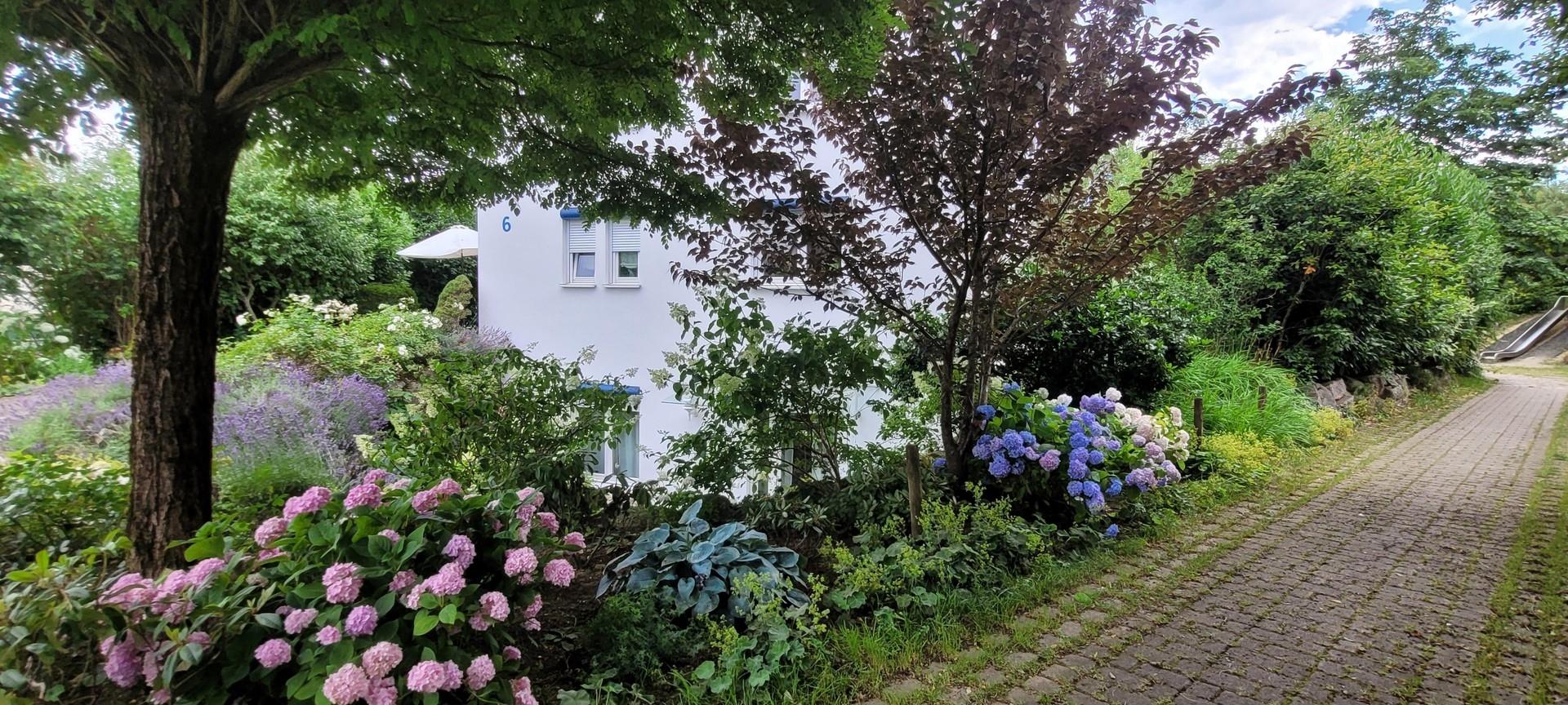 Blühender Garten