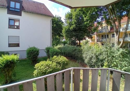 Blick ins Grüne