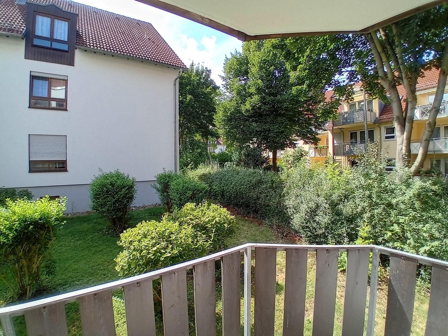 Blick ins Grüne