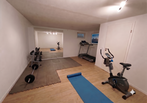 Keller Fitnessraum