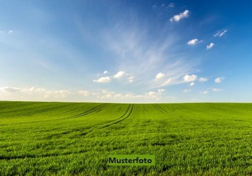 Keine Originalbilder