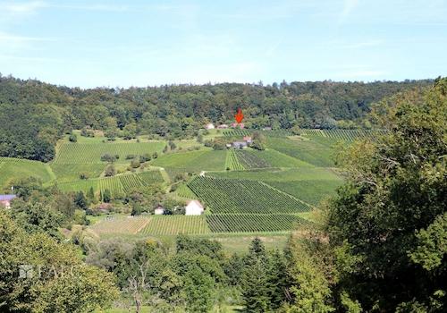 Mitten in den Weinbergen 