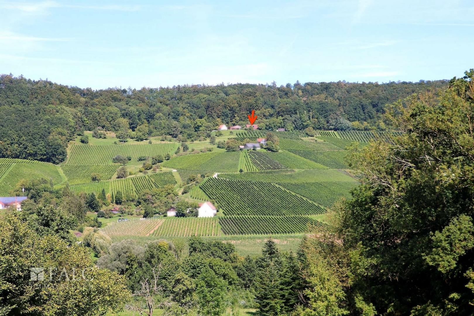 Mitten in den Weinbergen 