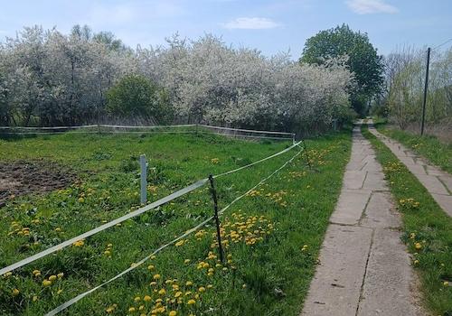 Dorfstr. vorm Grundstück