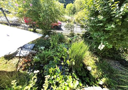  Freisitz Richtung Mosel, Garten mitTeichanlage