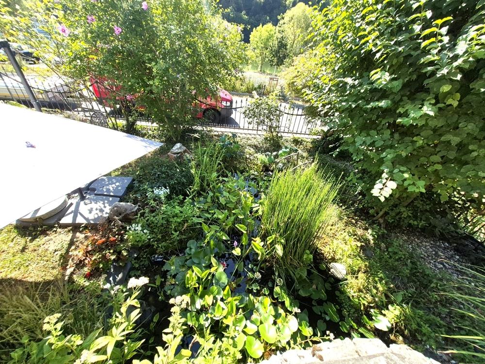  Freisitz Richtung Mosel, Garten mitTeichanlage