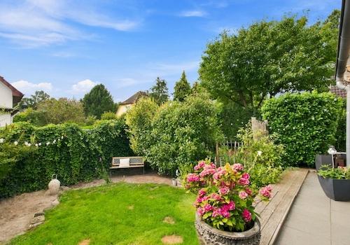 Blick in den Garten