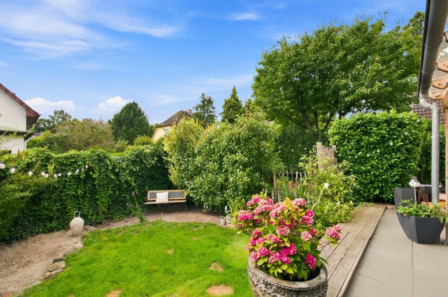 Blick in den Garten