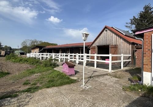 Blick auf Stallungen und Paddocks