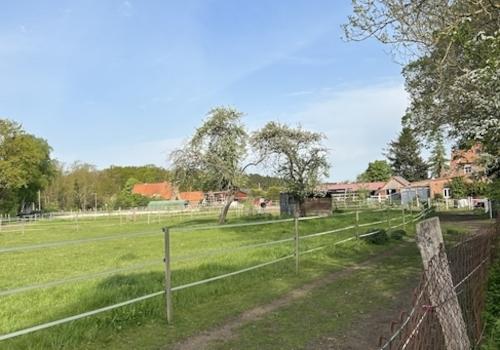 Blick auf Grünflächen und Trail