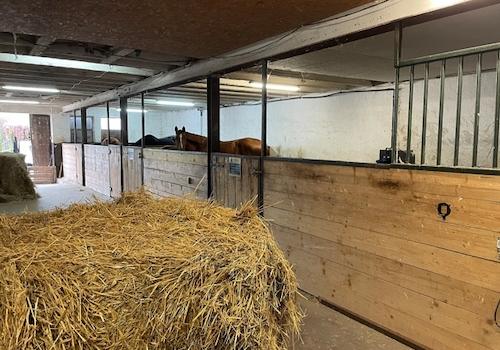 Stallboxen