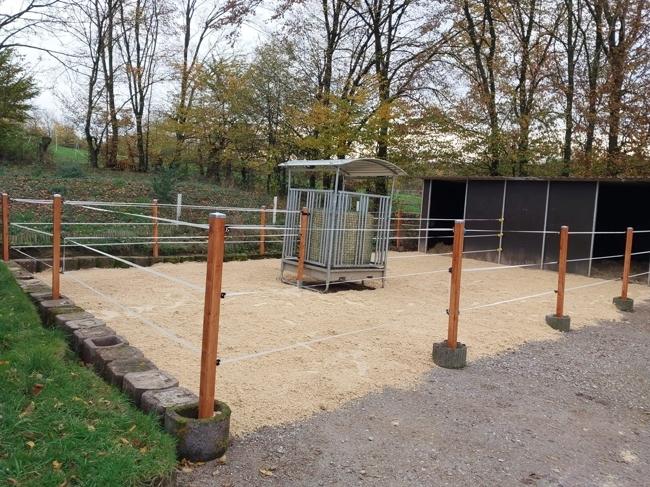Paddock mit Offenstall