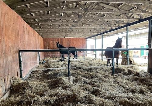 Stallboxen