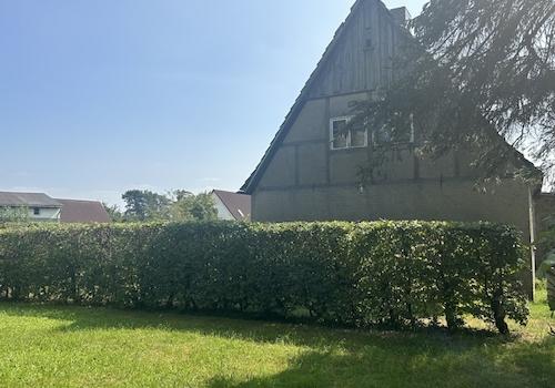 Gibelansicht Haus vom Garten aus gesehen