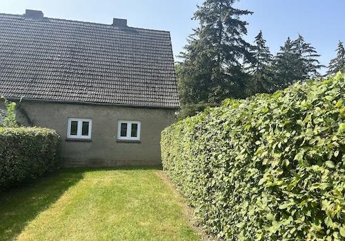 Vorgarten mit Blick auf das Haus