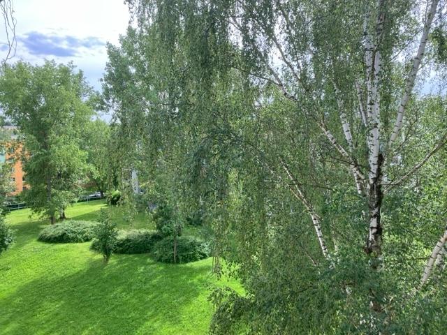 Ausblick Balkon