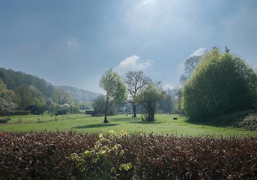 Blick ins Grüne