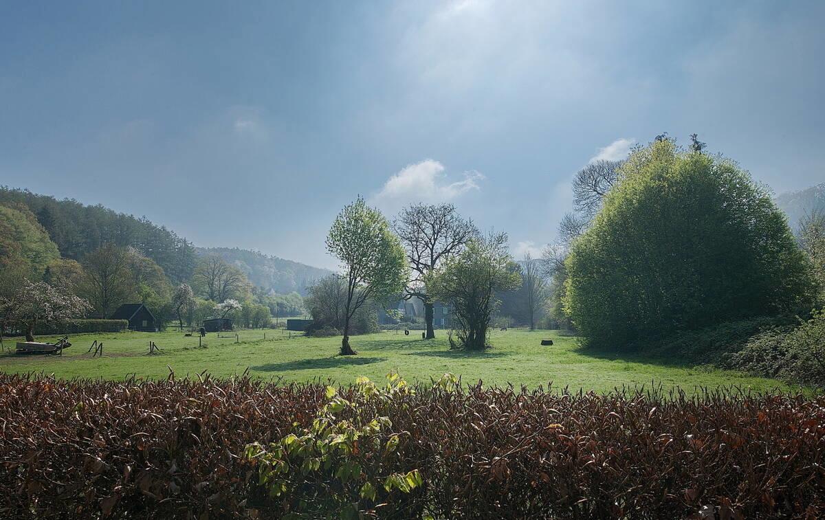 Blick ins Grüne