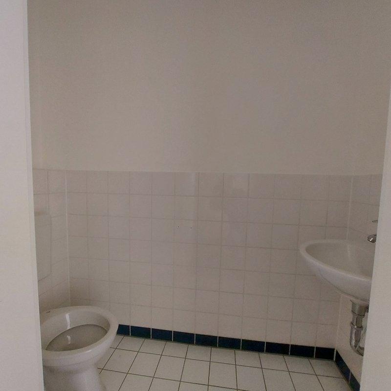 Beispielbilder