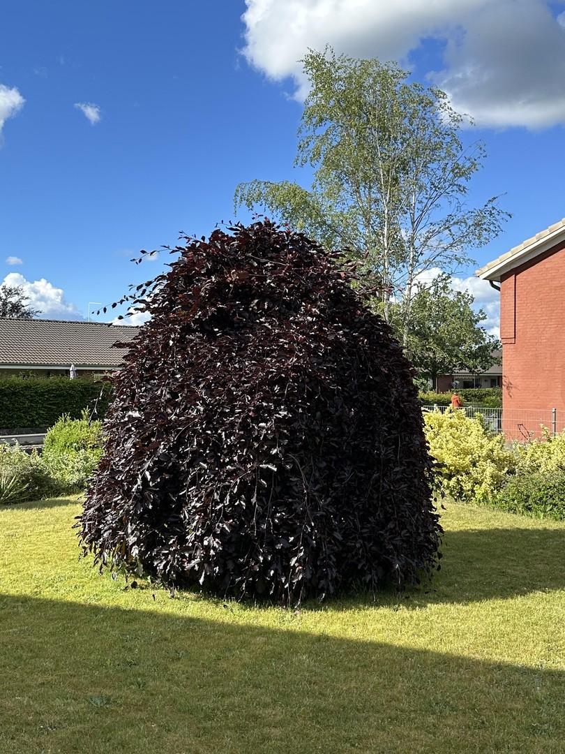 Gartenansicht 