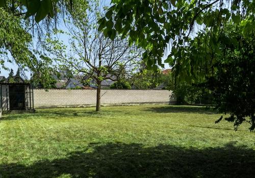 Großer hinterer Garten
