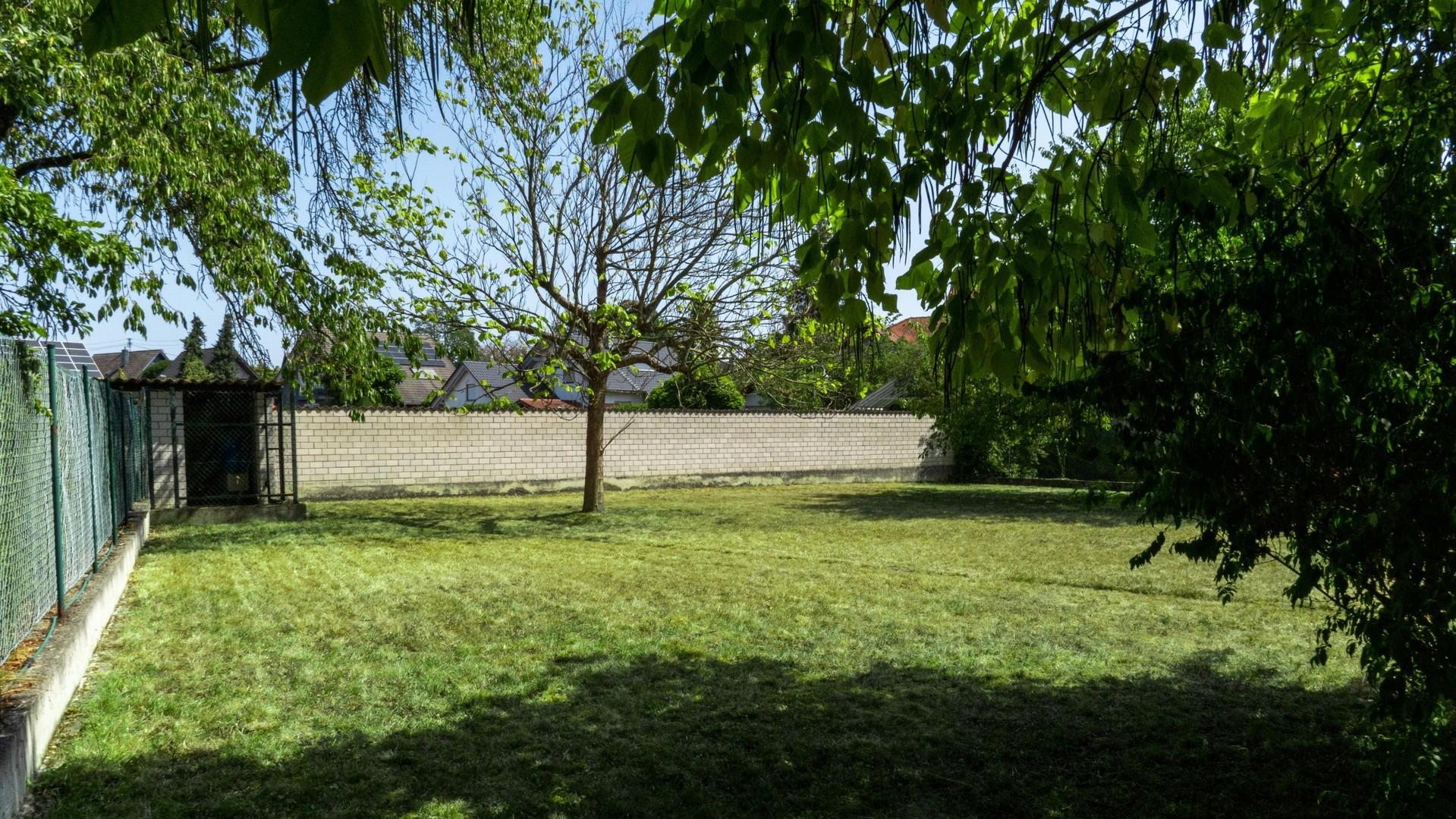 Großer hinterer Garten