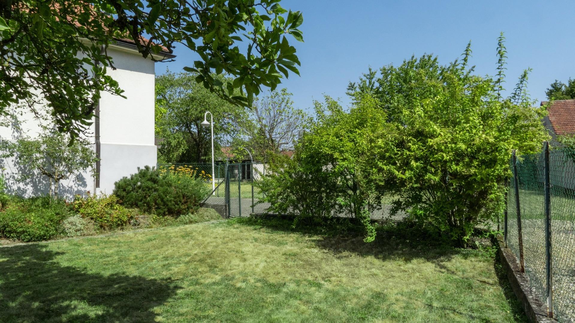 Kleiner vorderer Garten