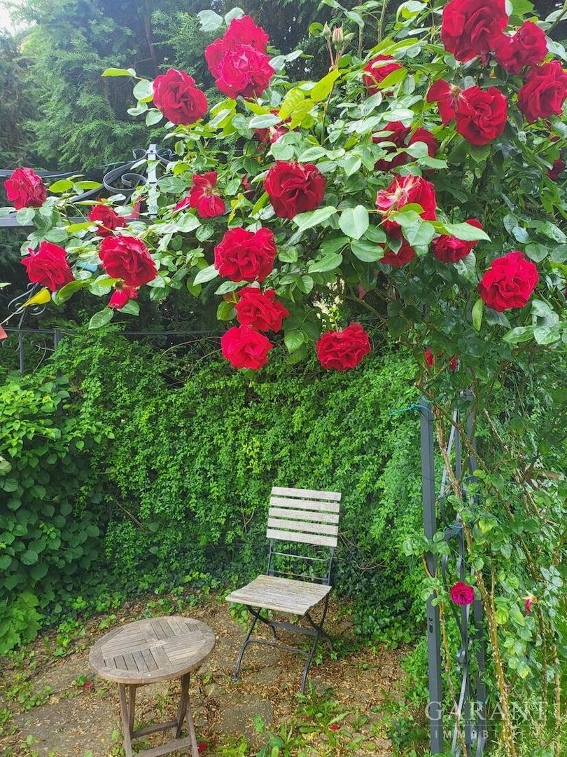 Garten Eindrücke