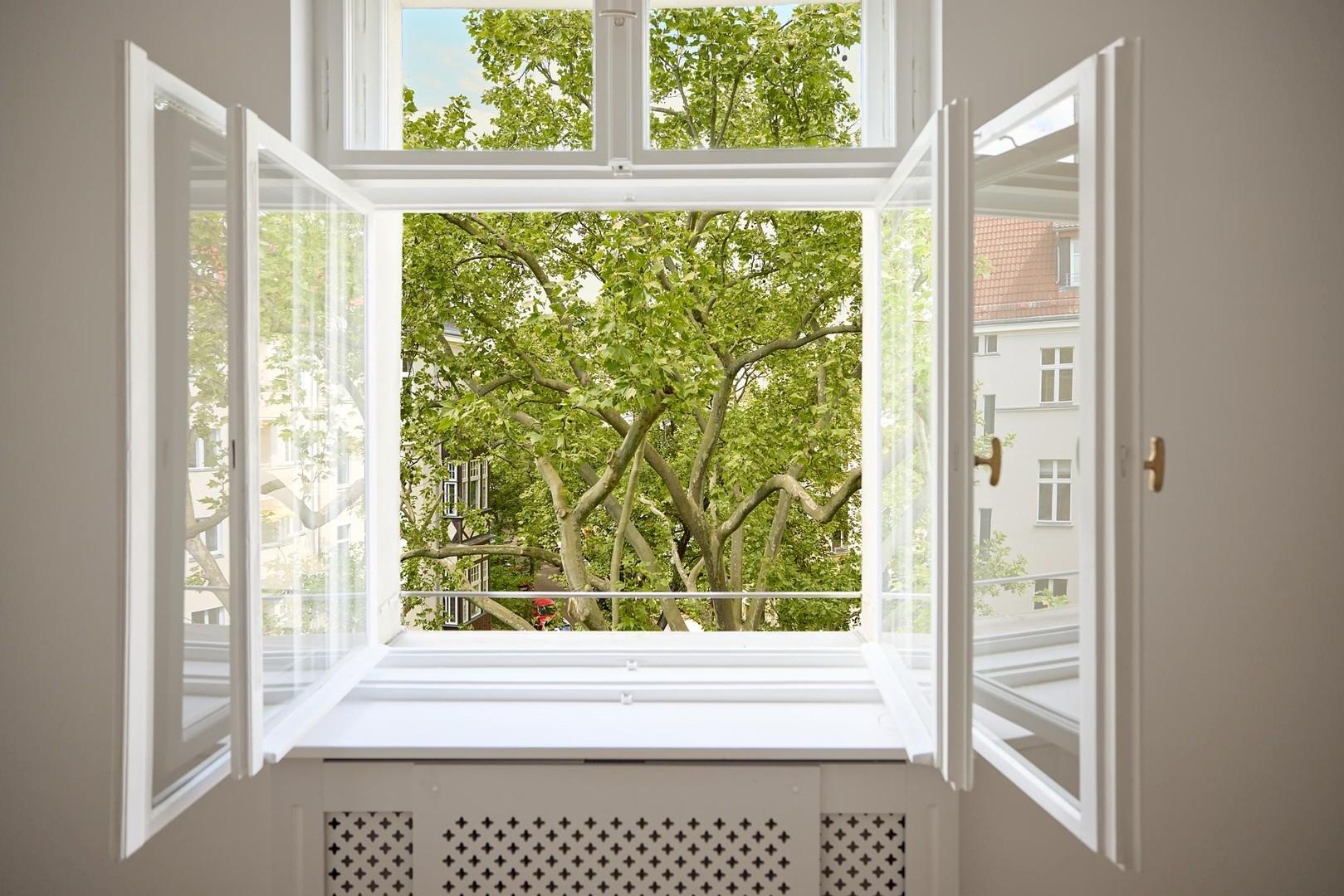 Das Eckfenster 